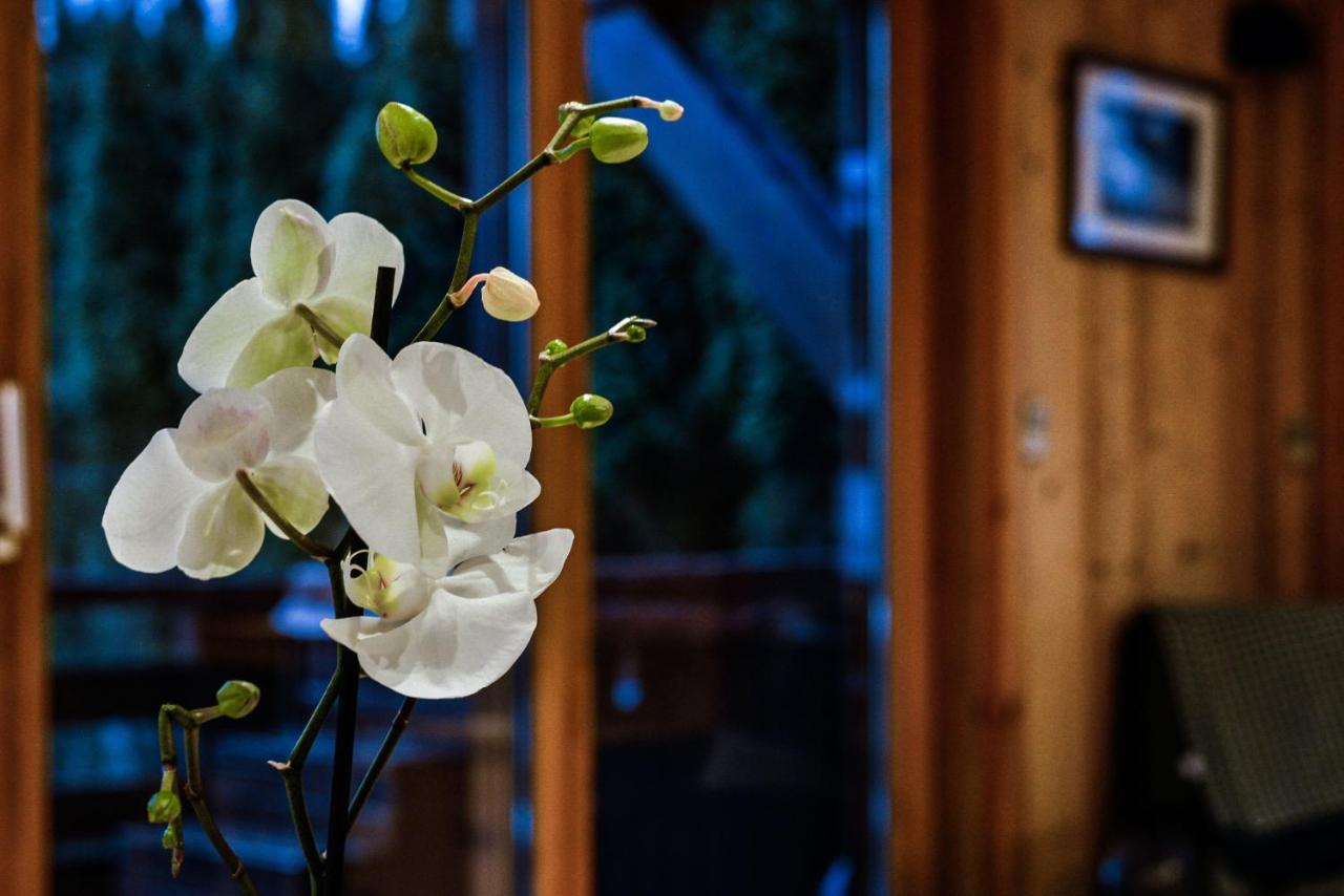 Yeti Lodge Rooms Argentière Zewnętrze zdjęcie